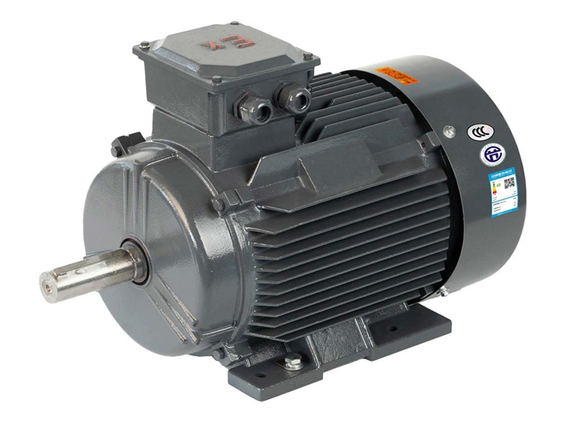 YFBX4 SERIES HIGH EFFICIENCY DUST EXPLOSION-PROOF TYPE THREE-PHASE ASYNCHRONOUS MOTOR