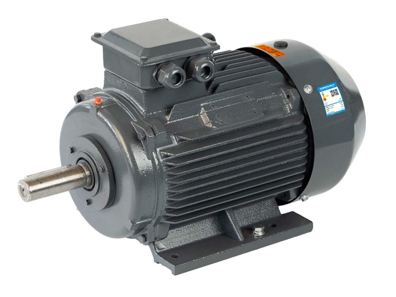 YE3 SERIES HIGH EFFICIENCY THREE PHASE ASYNCHRONOUS MOTOR
