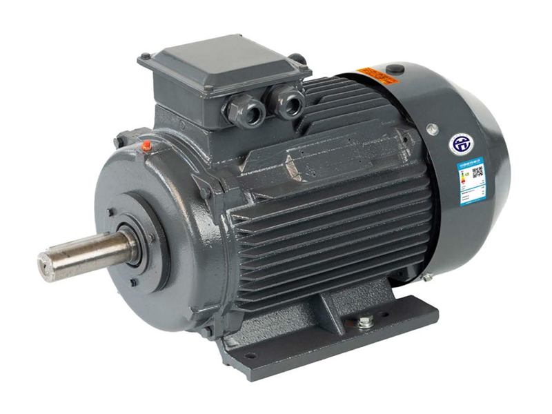 YE4 SERIES HIGH EFFICIENCY THREE PHASE ASYNCHRONOUS MOTOR