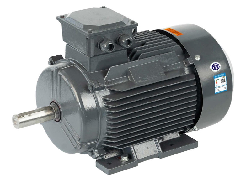 YE5 SERIES HIGH EFFICIENCY THREE PHASE ASYNCHRONOUS MOTOR